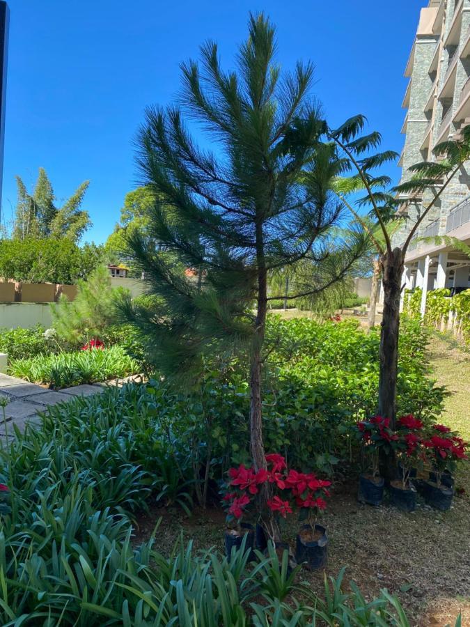 Near Johnhay Minesview Fast Wi-Fi Netflix Balcony Daire Baguio City Dış mekan fotoğraf